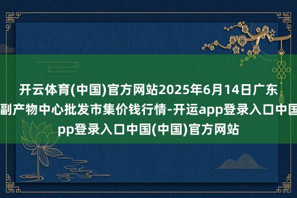 开云体育(中国)官方网站2025年6月14日广东东莞市大京九农副产物中心批发市集价钱行情-开运app登录入口中国(中国)官方网站